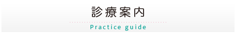 診療案内